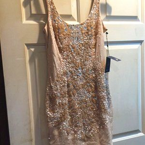 Size 8 Adrianna Papell Beaded Slip Dress NWT